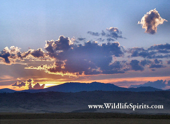 Click Picture to send as an  E-PostCard 54k 548x398
